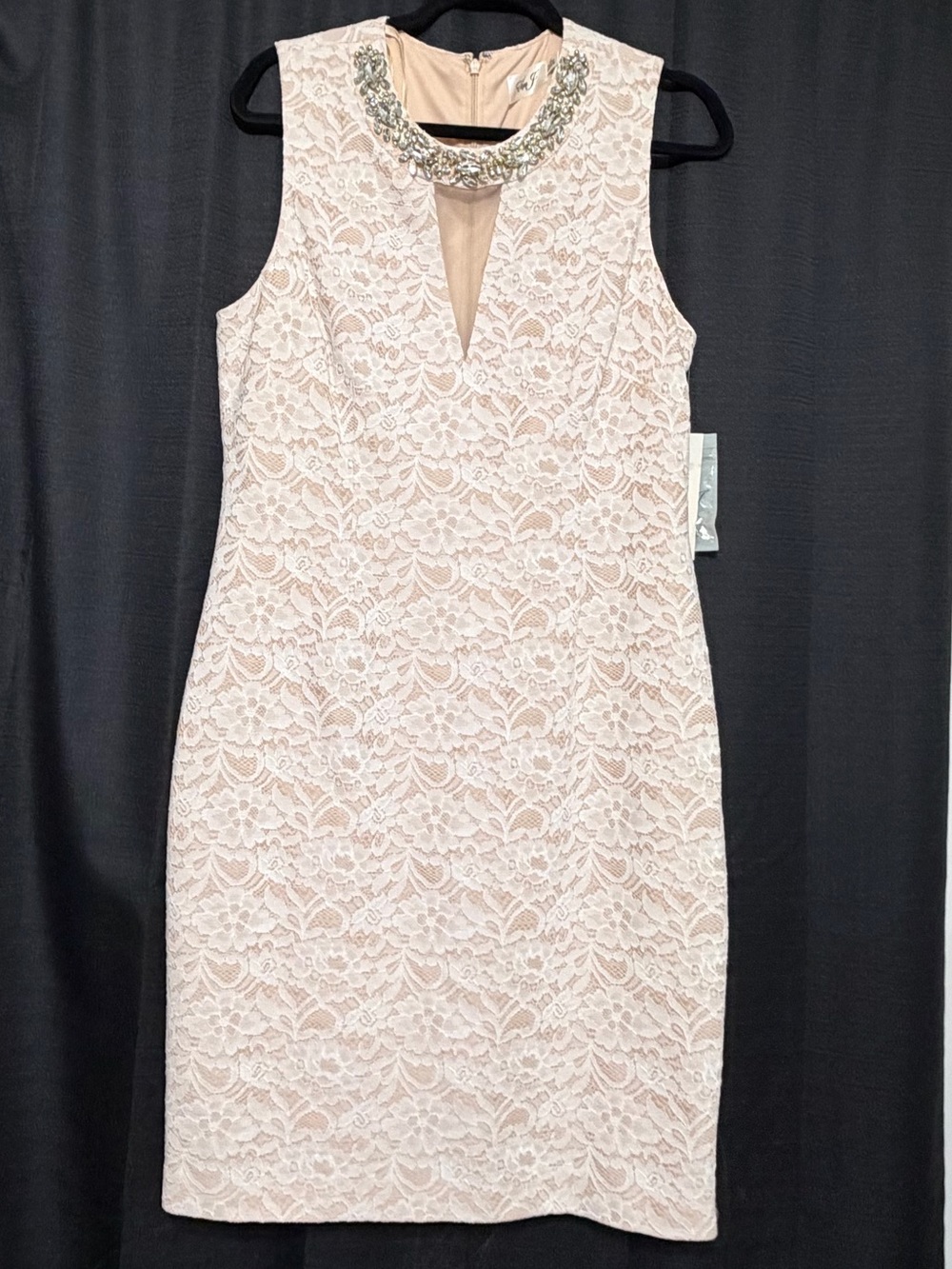 Eliza J Sleeveless Embellished Neck Lace Sheath Dress in Blush